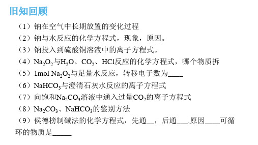 氯气的性质 课件2022-2023学年高一化学人教版(2019)必修第一册