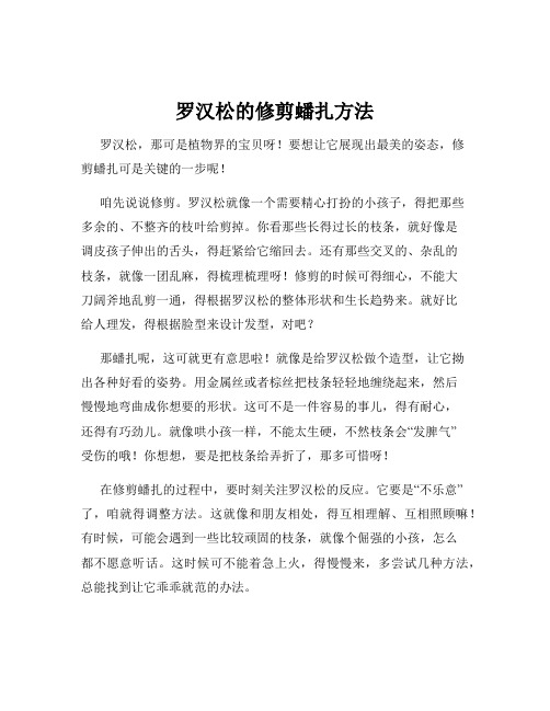 罗汉松的修剪蟠扎方法