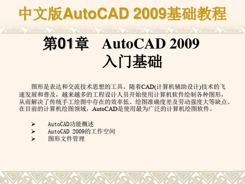 auto cad2009基础教程-第一章入门基础