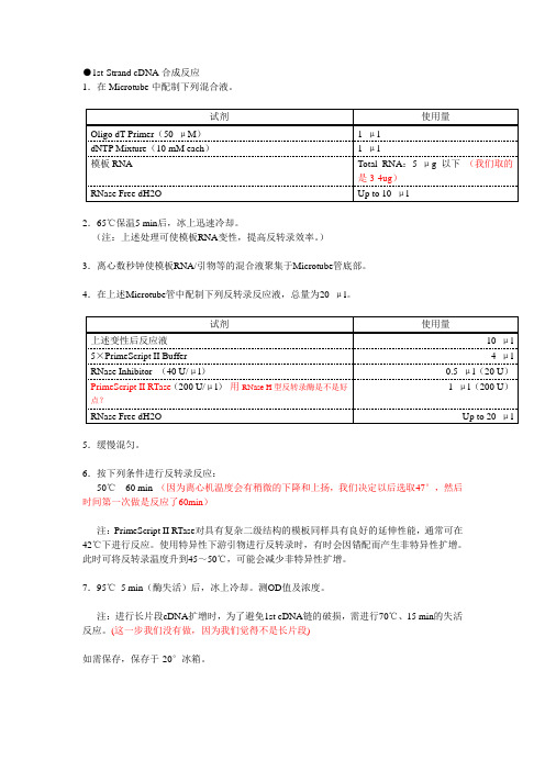 RT-PCR实验方案