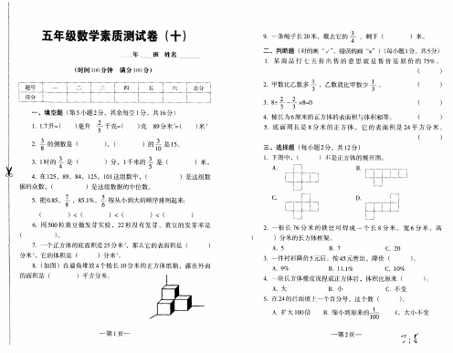 五年级数学素质测试卷(十)