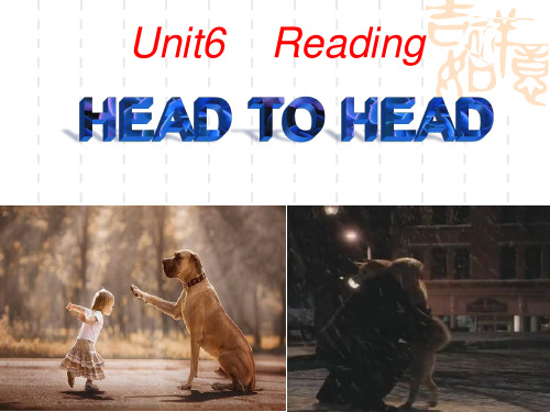 8BUnit6Reading-head to head公开课优质课比赛获奖课件