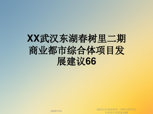 XX武汉东湖春树里二期商业都市综合体项目发展建议66