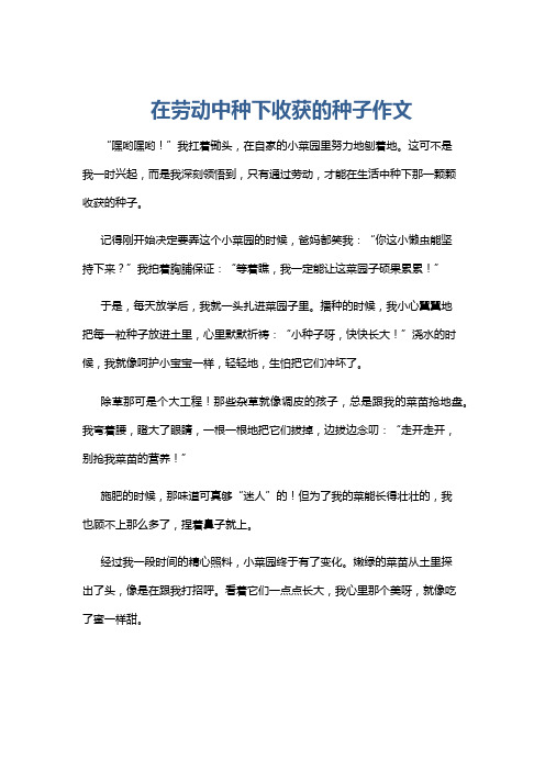 在劳动中种下收获的种子作文