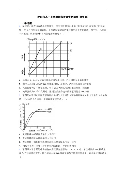 沈阳市高一上学期期末考试生物试卷(含答案)