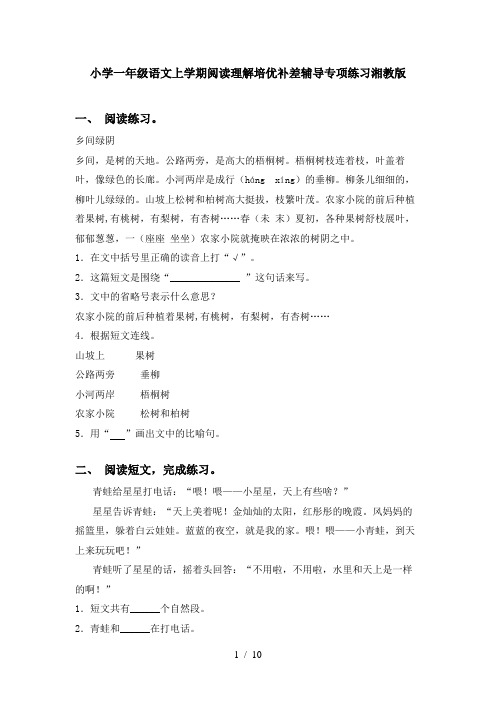 小学一年级语文上学期阅读理解培优补差辅导专项练习湘教版