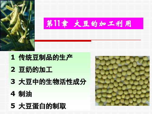 粮油加工课件第九章 大豆加工