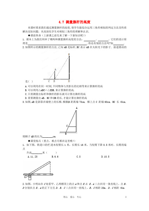 青海省西宁五中八年级数学《测量旗杆的高度》练习题