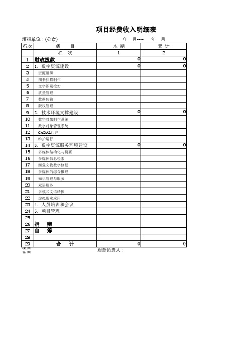 项目经费收入明细表模板