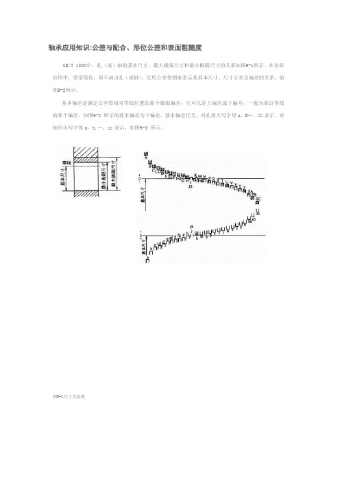 轴承应用知识公差与配合、形位公差和表面粗糙度