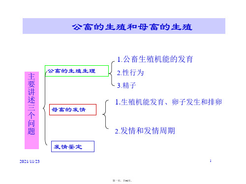 解剖学部分-公畜的生殖和母畜的生殖