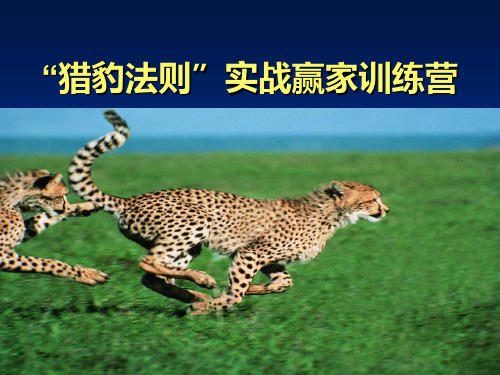 “猎豹法则”训练营(二)PPT课件