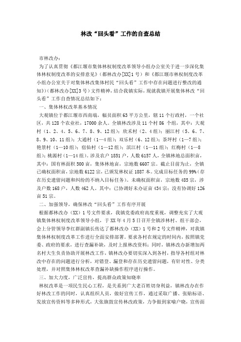 林改“回头看”工作的自查总结-模板