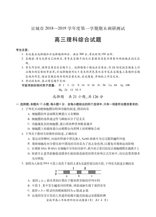 宣城市2018-2019年度第一学期高三理综XC