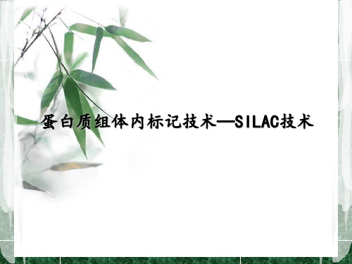 SILAC技术