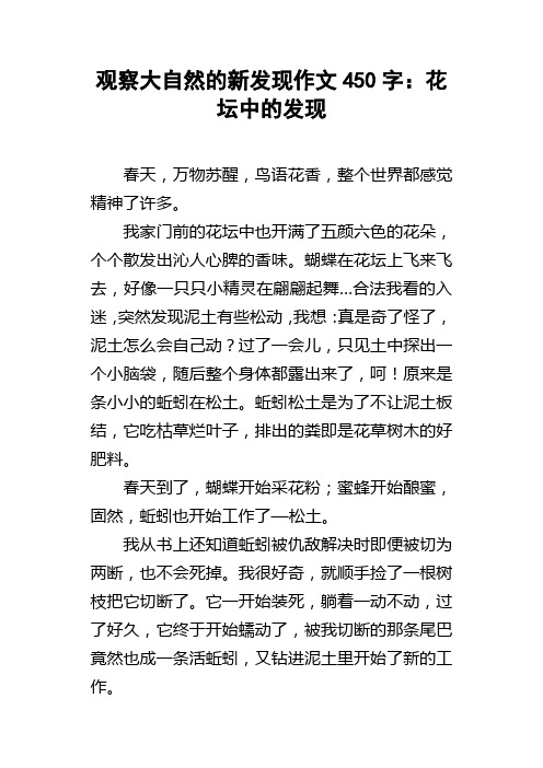 观察大自然的新发现作文450字花坛中的发现