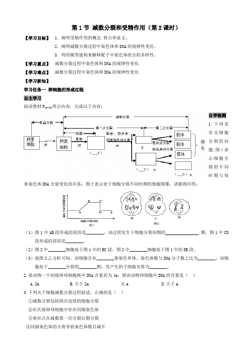 人教版高一必修二生物导学案：2.1.2减数分裂和受精作用