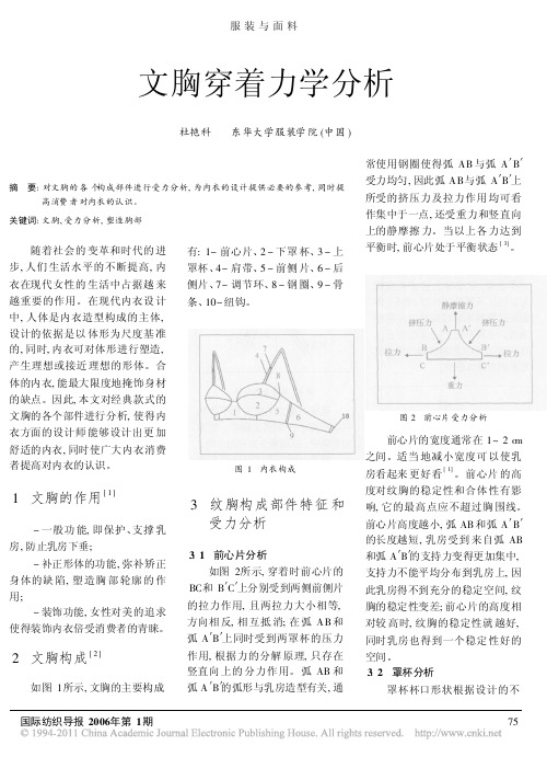 文胸穿着力学分析_杜艳科