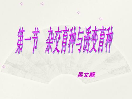 杂交育种与诱变育种ppt