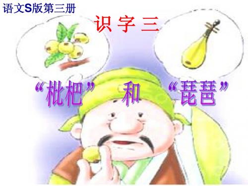 识字三枇杷和琵琶课2222