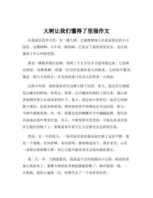 大树让我们懂得了坚强作文