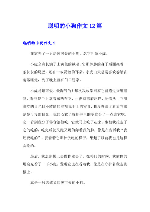 聪明的小狗作文12篇