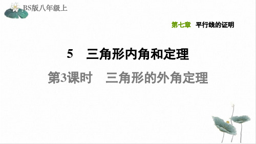 7.5.3三角形的外角定理北师大版八年级数学上册习题PPT课件