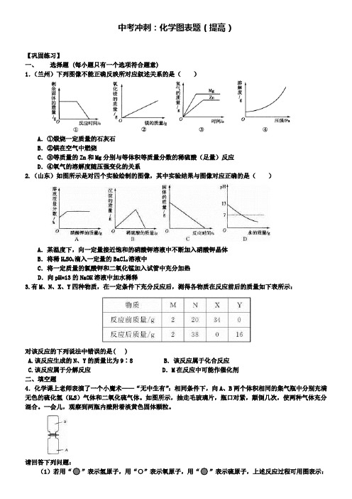 中考化学冲刺复习化学图表题提高巩固练习含解析
