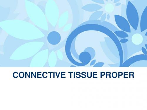 Chapter3 Connective Tissue prooper(固有结缔组织)