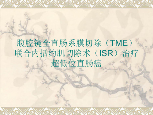  (完整版)腹腔镜全直肠系膜切除(TME)联合内括约肌切除术(ISR)治疗超低位直肠癌ppt课件