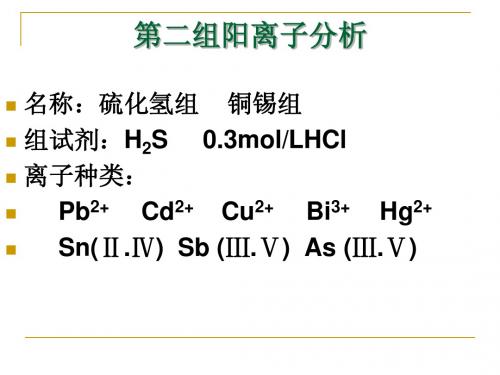 第二组阳离子分析