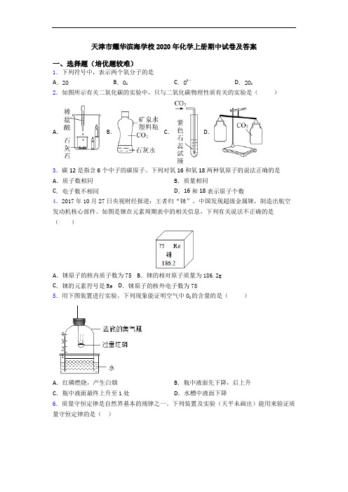 天津市耀华滨海学校2020年初三化学上册期中试卷及答案