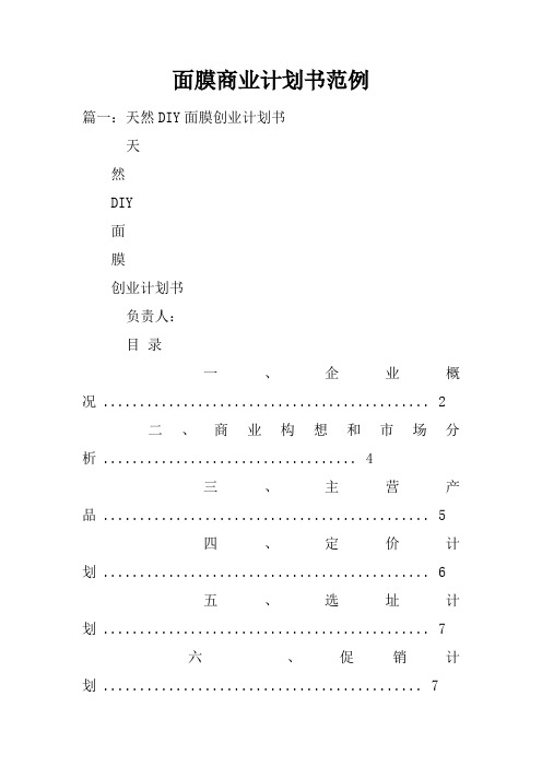面膜商业计划书范例
