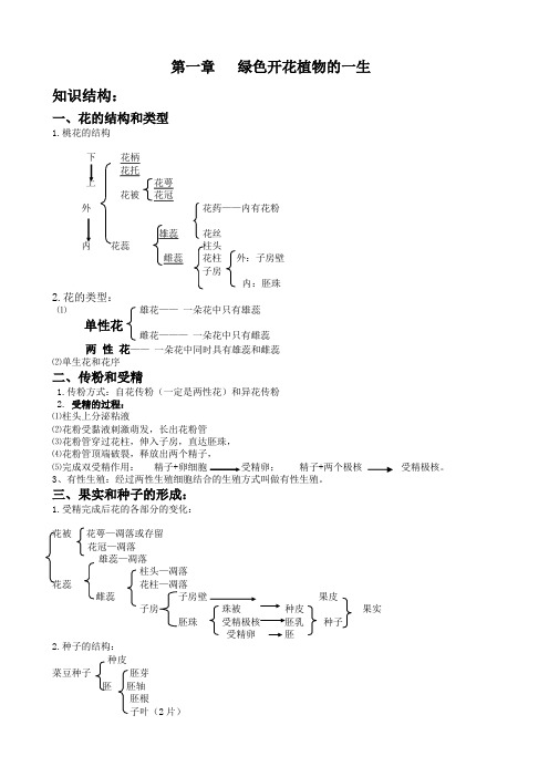 八上第一章绿色开花植物的一生(知识点、练习题)教学提纲