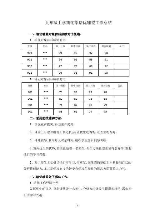 九年级上学期化学培优辅差工作总结