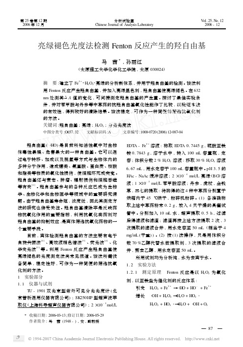 亮绿褪色光度法检测Fenton反应产生的羟自由基[1]