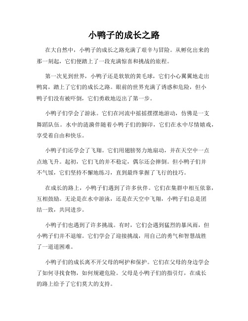 小鸭子的成长之路