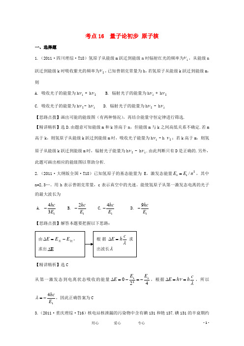 高考物理真题考点点拨精析 考点16 量子论初步 原子核 人教大纲版