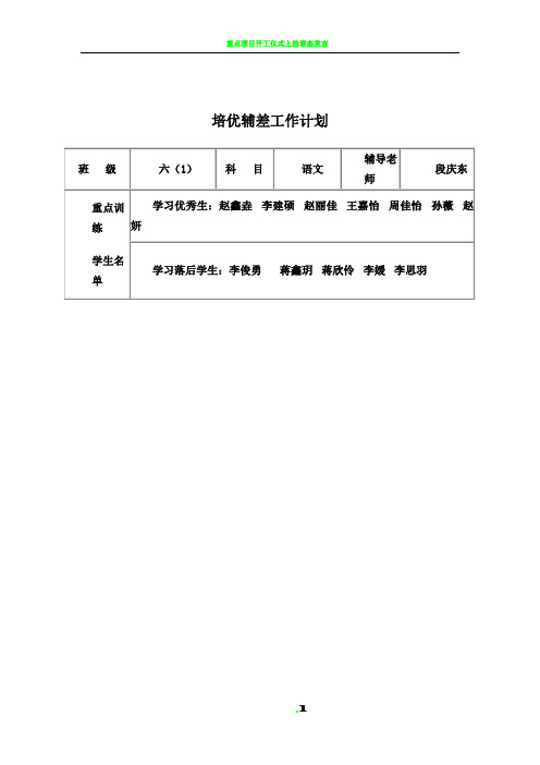 培优补差工作记录表