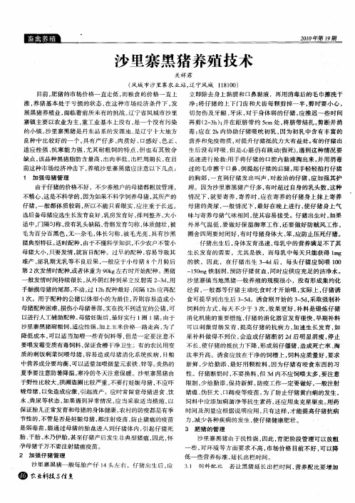 沙里寨黑猪养殖技术