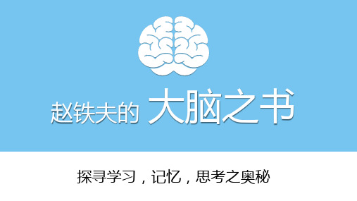 赵铁夫的大脑之书——极简英语史之怎样学好英语