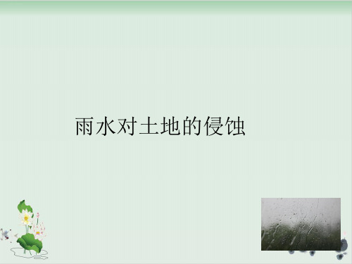 五年级上册科学课件雨水对土地的侵蚀教科版(共17张PPT)