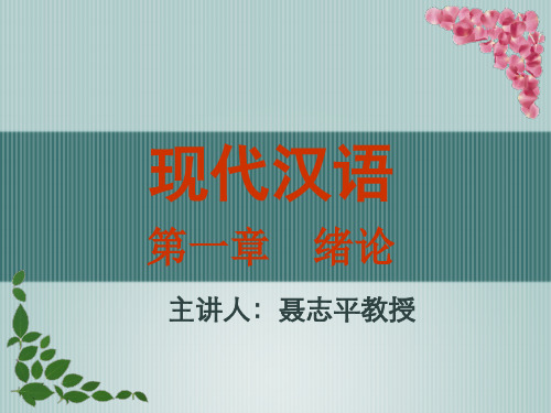 现代汉语第一章绪论复习课程