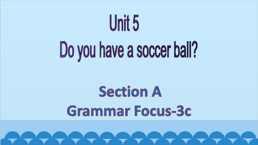 Unit 5 Do you have a soccer ball Section AGramma课件