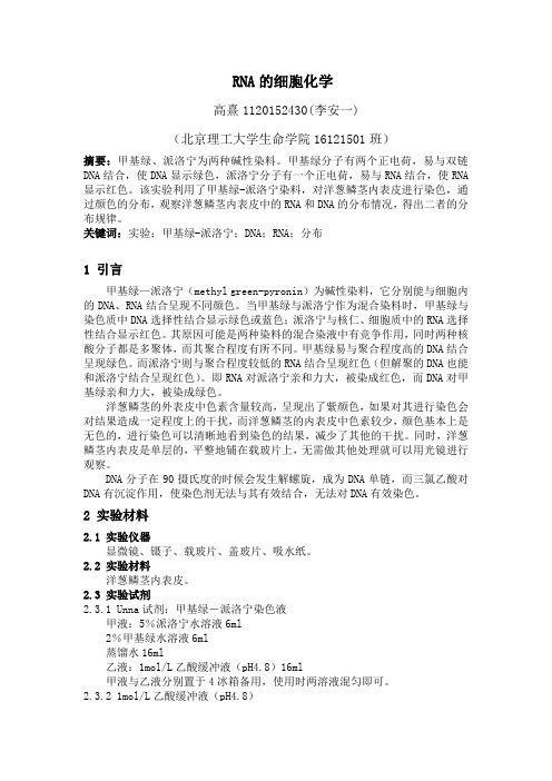 RNA的细胞化学