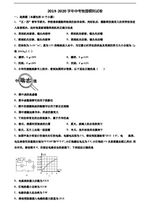 2019-2020学年安徽省阜阳市中考物理检测试题