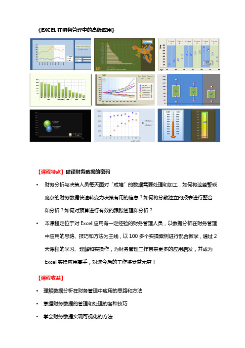 《Excel在财务管理中的高级应用》