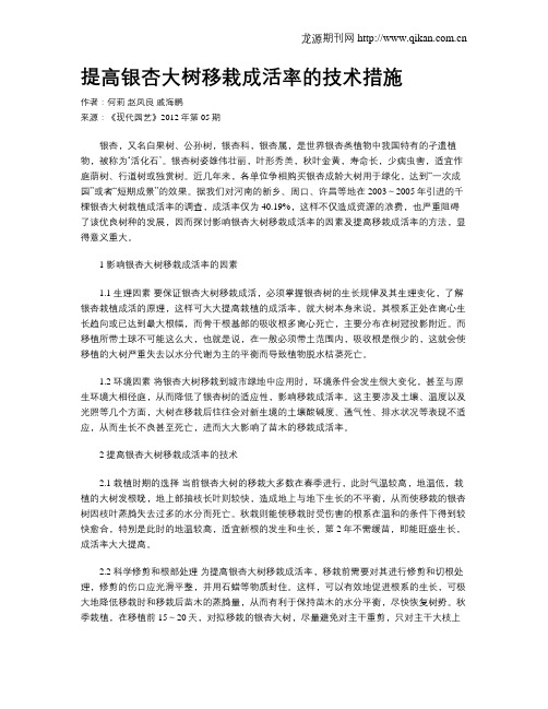 提高银杏大树移栽成活率的技术措施