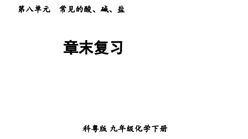 第八单元常见的酸、碱、盐章末复习课件-2024-2025学年九年级化学科粤版(2024)下册