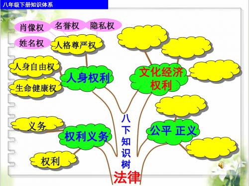 复习 我们的文化、经济权利 (1)